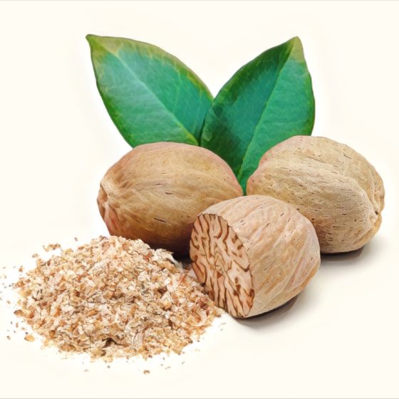 Muskatnuss Bio ganz – Bild 2