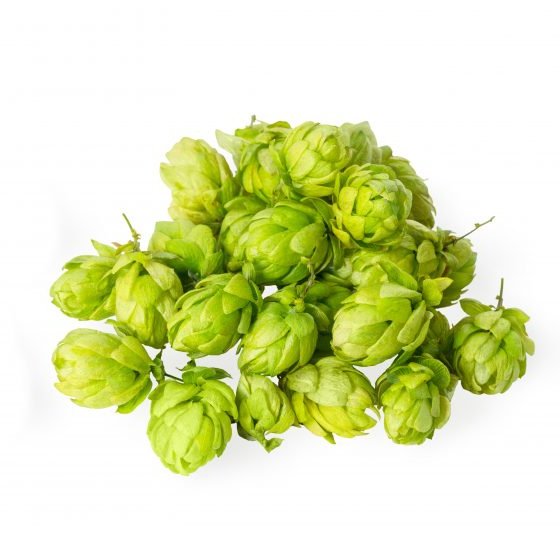 Hopfenblüten Bio ganz – Bild 2