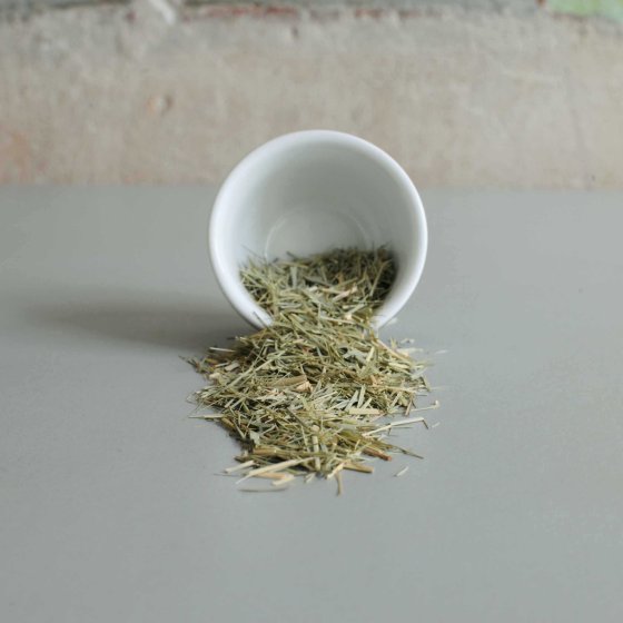 Tisana Sunkoshi – Bild 2